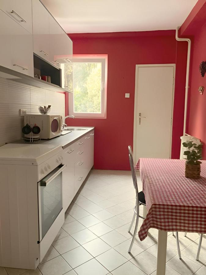 Central Park Apartment Čačak エクステリア 写真